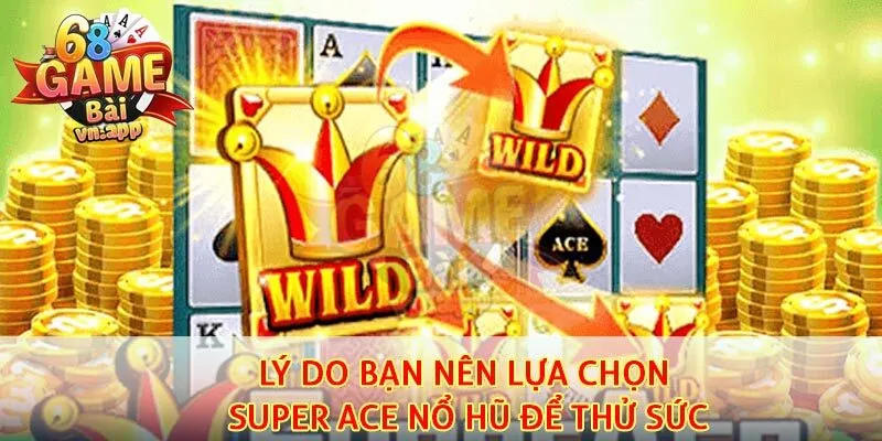 Lý do bạn nên lựa chọn Super Ace nổ hũ để thử sức